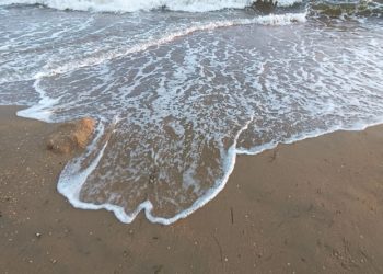 В Краснодарском крае в начале зимы наступит лето. Скриншот