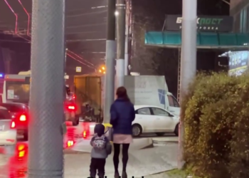 В Краснодаре людей взбудоражило видео, на котором мать ведет ребенка на поводке