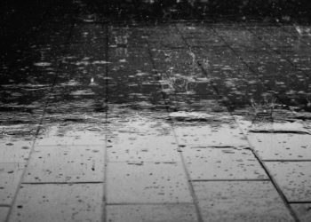 Из-за непогоды в парках Краснодара отменили мероприятия