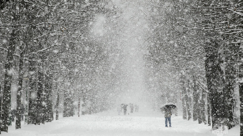 февраль подмосковье. снежная слякоть. наступила зима выпал. дорога заканчивается сугробом. наступила зима предложение.