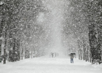 На Кубани ожидается налипание мокрого снега 5 и 6 декабря