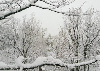 Синоптик рассказал, в какой день праздников в Краснодарском крае пойдет снег