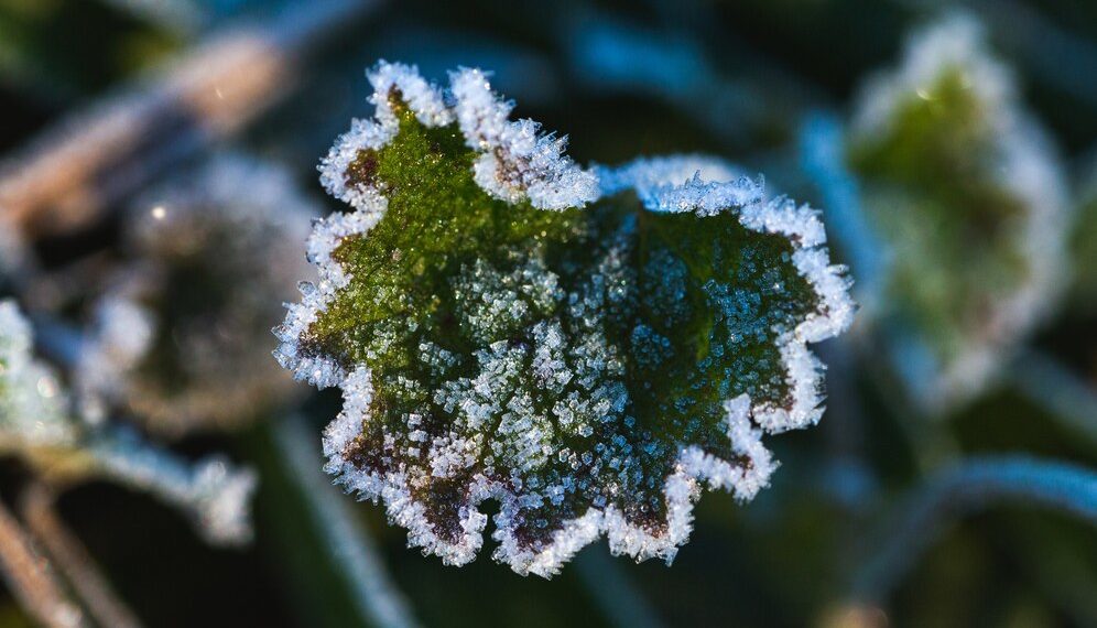 Синоптики заявили о резком понижении температуры в Краснодарском крае. Скриншот
