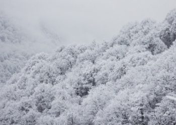 В горах Сочи ожидаются сильные снегопады 8 и 9 января
