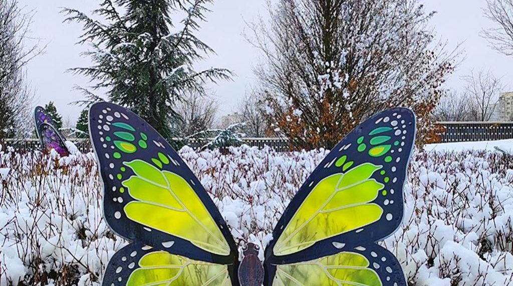 Определен самый холодный день в последнюю неделю января в Краснодарском крае