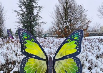 Определен самый холодный день в последнюю неделю января в Краснодарском крае 