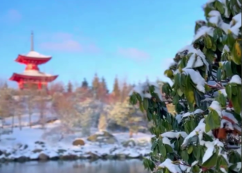 Утопающий в снегу Японский сад в Краснодаре сняли на видео