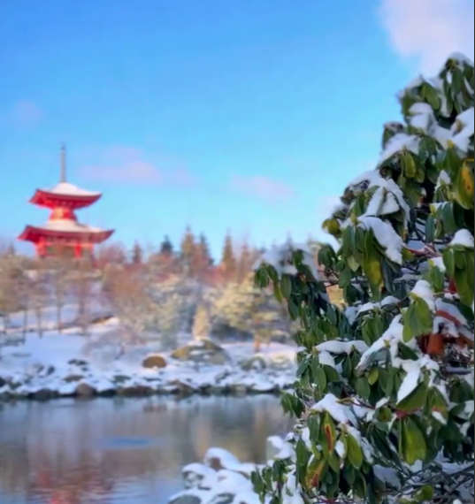 Утопающий в снегу Японский сад в Краснодаре сняли на видео