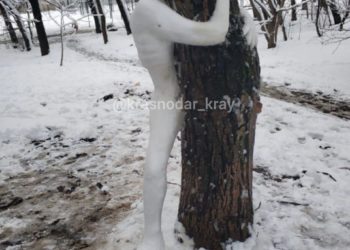 В Краснодаре любители анатомии слепили необычного снеговика. Фото