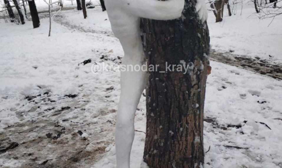 В Краснодаре любители анатомии слепили необычного снеговика. Фото