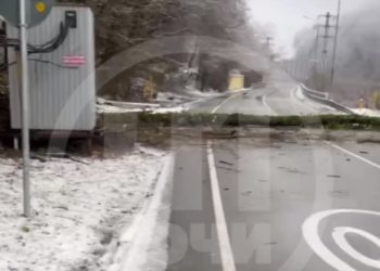 В Сочи упавшее дерево перегородило дорогу в Красную Поляну