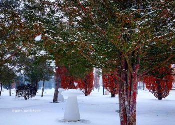 Составлен подробный прогноз погоды на выходные в Краснодарском крае
