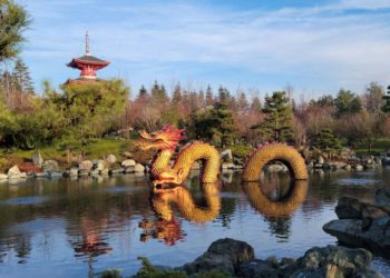 В Краснодаре в парке Галицкого поселилось сказочное чудовище