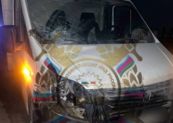 На Кубани «Газель» насмерть сбила пешехода