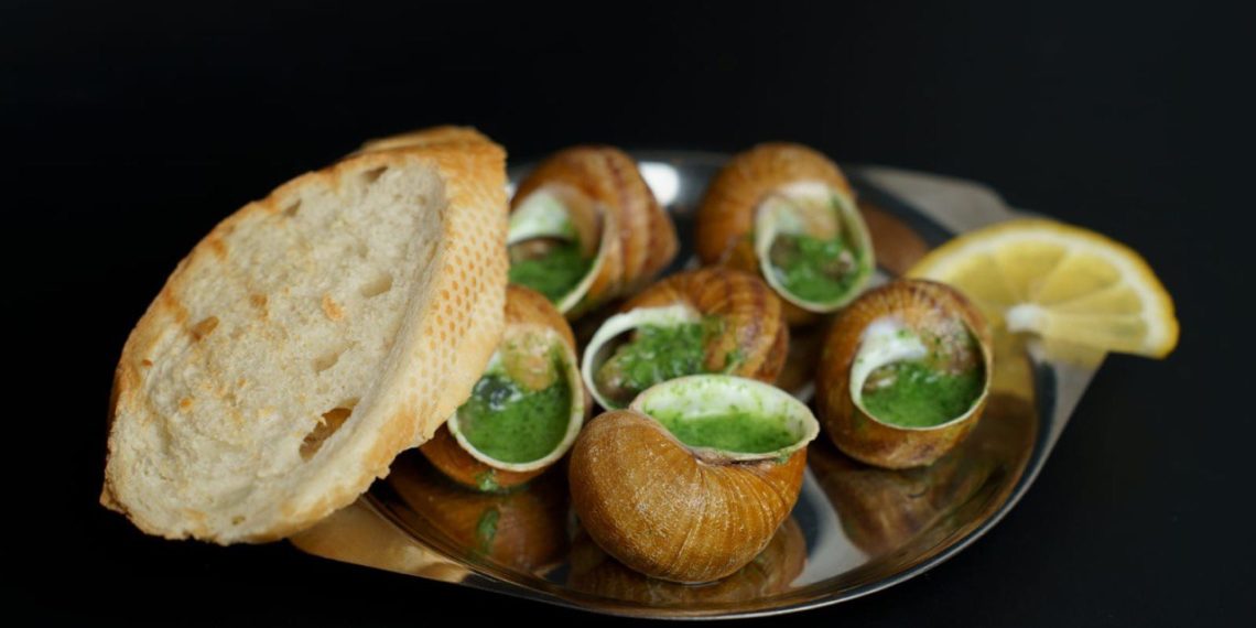 Житель Новороссийска на 350 тыс. рублей соцконтракта создал улиточную ферму