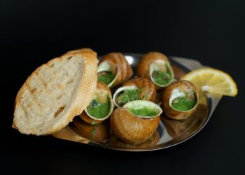 Житель Новороссийска на 350 тыс. рублей соцконтракта создал улиточную ферму