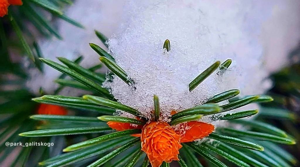 Синоптики составили новый прогноз на конец зимы в Краснодарском крае