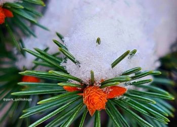 Синоптики составили новый прогноз на конец зимы в Краснодарском крае