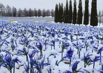 Гидрометцентр опубликовал прогноз на эту неделю в Краснодарском крае. Скриншот