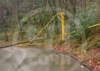 В Сочи упавшее дерево повредило газопровод и перекрыло дорогу