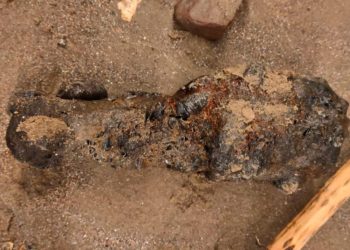 На одном из пляжей в Анапе нашли гранату