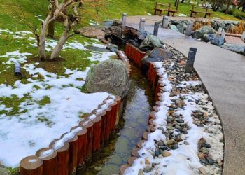 В Краснодарском крае на этой неделе будет холоднее, чем в Заполярье