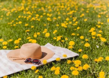 Лето 2024 года в Краснодарском крае будет жарким и даже очень жарким