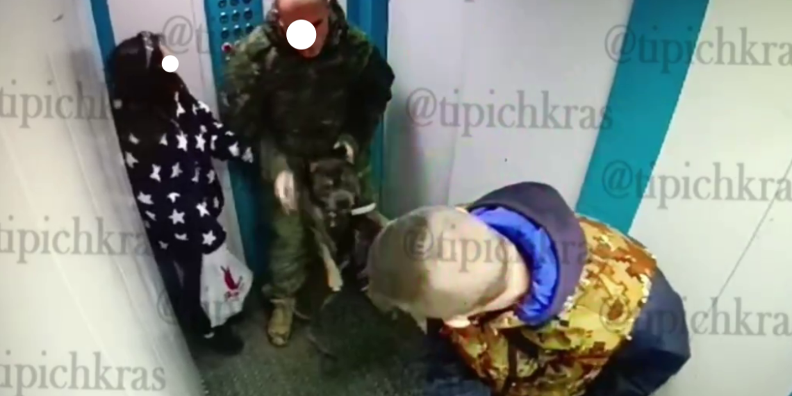 В Краснодаре в лифте многоэтажки собака едва не съела лицо ребенка. Подробности