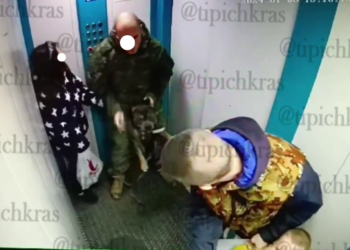 В Краснодаре в лифте многоэтажки собака едва не съела лицо ребенка. Подробности
