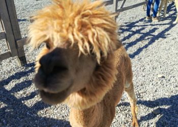 Синоптики рассказали, как закончатся праздники в Краснодарском крае