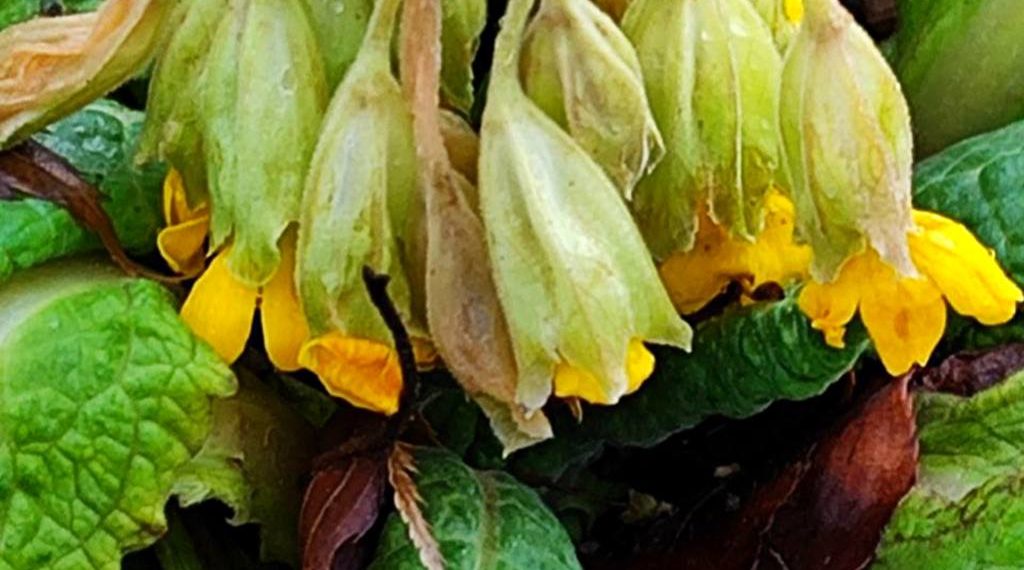 Синоптики озвучили самый теплый день на этой неделе в Краснодарском крае