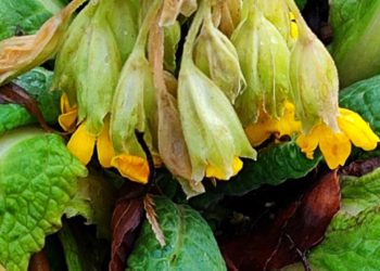 Синоптики озвучили самый теплый день на этой неделе в Краснодарском крае