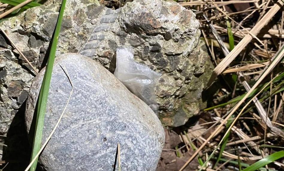 В Сочи поймали приезжего из Таганрога с наркотиками