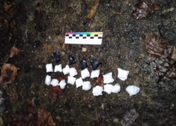 Сочинца могут на 20 лет посадить за наркоторговлю