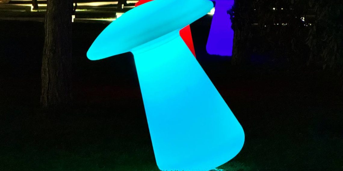 Сочинку удивили привычки других туристов в парке Галицкого в Краснодаре