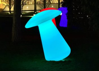 Сочинку удивили привычки других туристов в парке Галицкого в Краснодаре