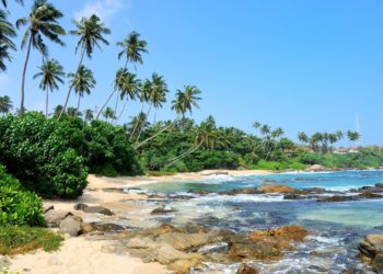 Как в Анапе: россиянку расстроили обычные семьи на отдыхе в Шри-Ланке