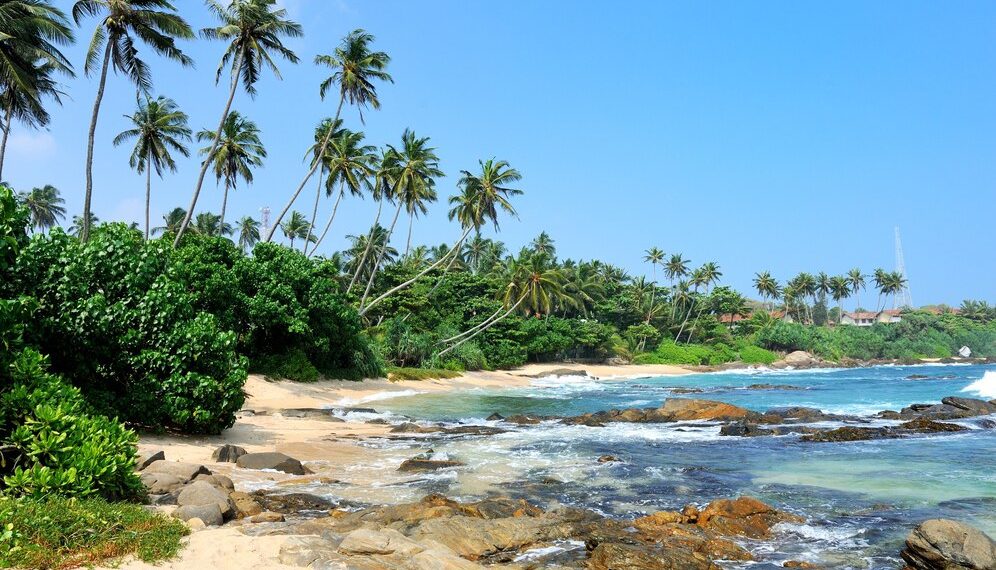 Как в Анапе: россиянку расстроили обычные семьи на отдыхе в Шри-Ланке