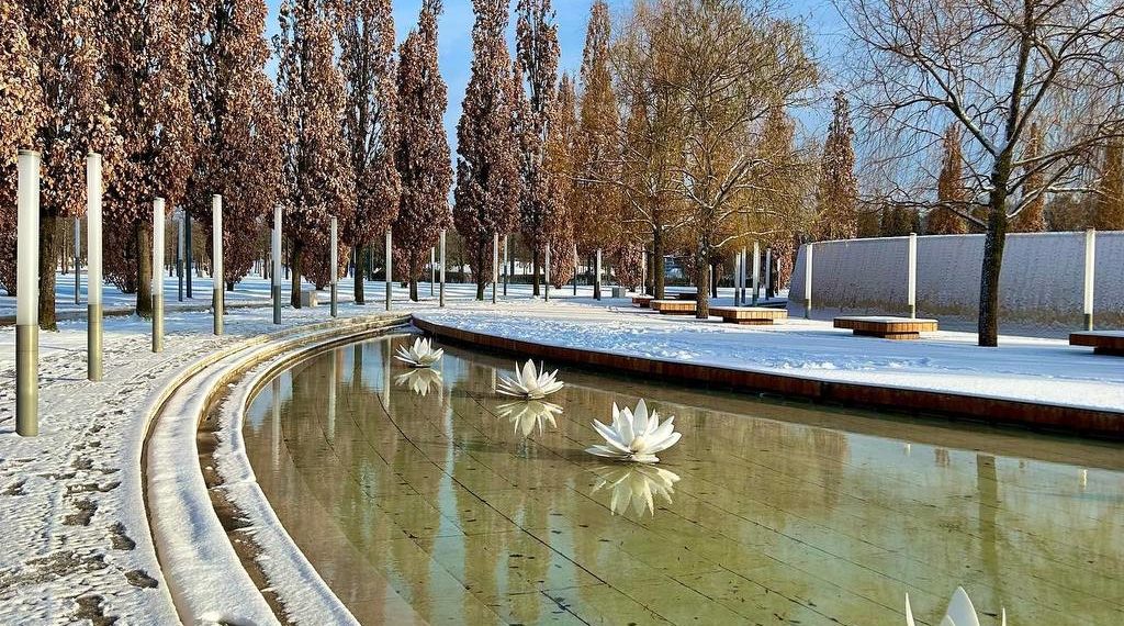 Появились свежие фотографии занесенного снегом парка Галицкого в Краснодаре