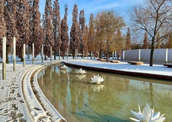 Появились свежие фотографии занесенного снегом парка Галицкого в Краснодаре