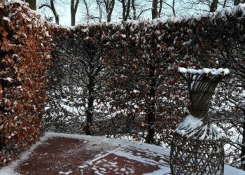 В плане погоды первая часть января в Краснодарском крае закончится неожиданно