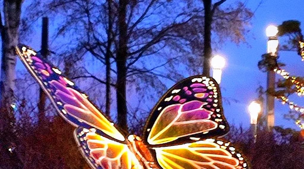 Синоптики резко изменили прогноз на вторую половину января в Краснодарском крае