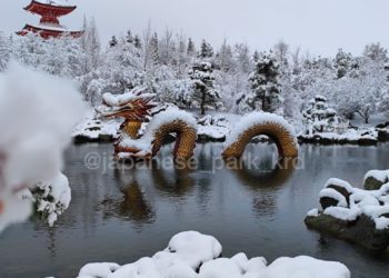 В Краснодаре засняли заснеженного дракона в парке Галицкого