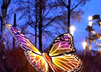 Синоптики резко изменили прогноз на вторую половину января в Краснодарском крае