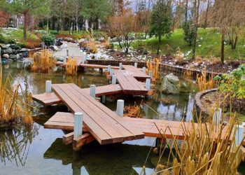 На Кубани первая половина недели в плане погоды будет отличаться от второй