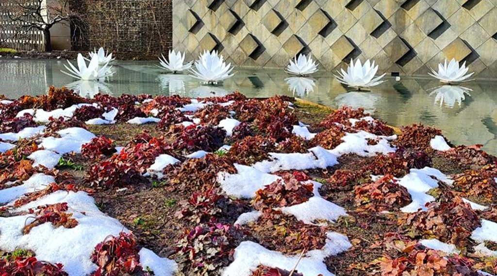 Метеорологи поделились прогнозом на март в Краснодарском крае