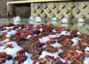 Метеорологи поделились прогнозом на март в Краснодарском крае