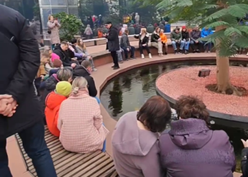 В парке Галицкого в Краснодаре случился ажиотаж. Видео