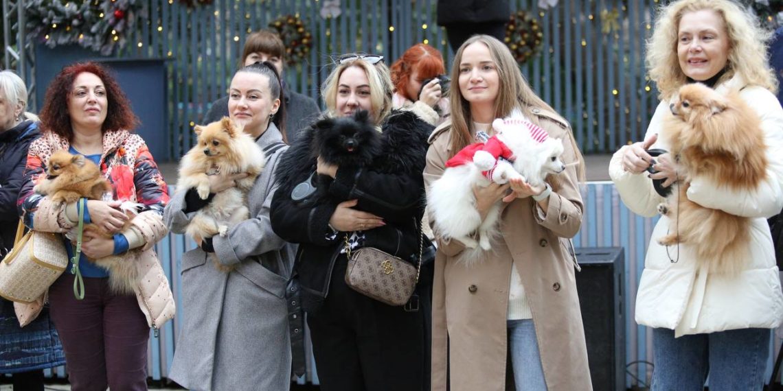 В новогодние каникулы в Сочи устроили корпоратив для шпицев