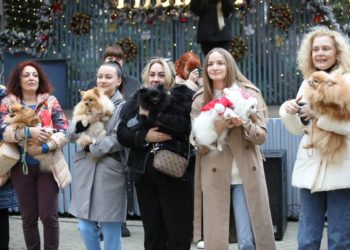 В новогодние каникулы в Сочи устроили корпоратив для шпицев